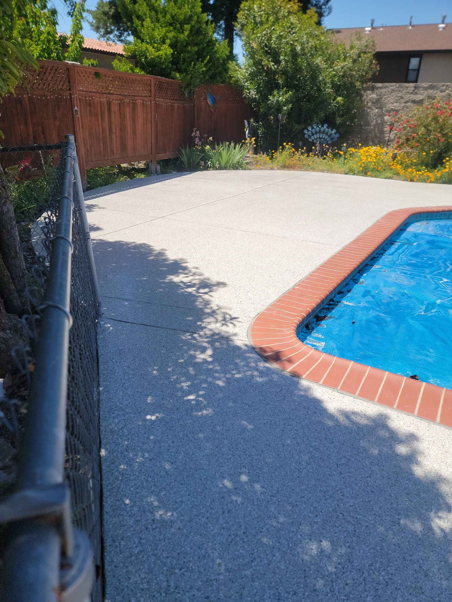 Chip coated pool deck with pool
